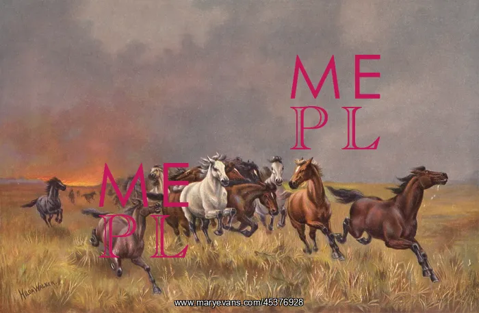  : Horses spooked by a forest fire