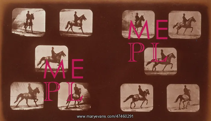 : Horses. Trotting : Horses. Trotting