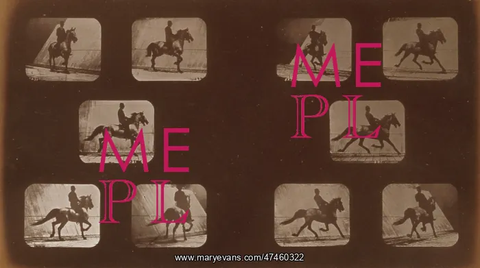: Horses. Trotting : Horses. Trotting
