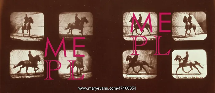 : Horses. Trotting : Horses. Trotting