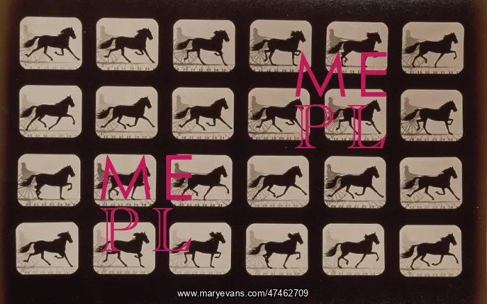 : Horses. Trotting : Horses. Trotting