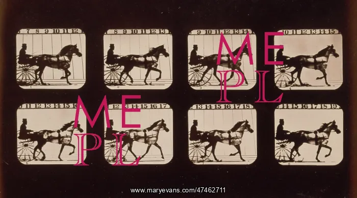 : Horses. Trotting : Horses. Trotting