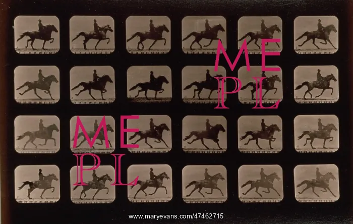 : Horses. Trotting : Horses. Trotting