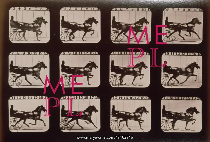 : Horses. Trotting : Horses. Trotting