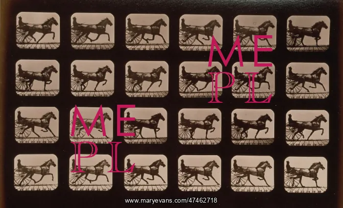  : Horses. Trotting