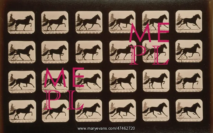 : Horses. Trotting : Horses. Trotting