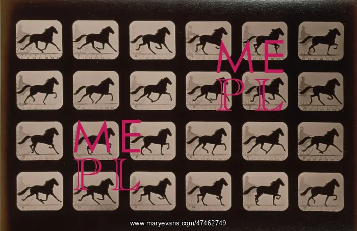 : Horses. Trotting : Horses. Trotting