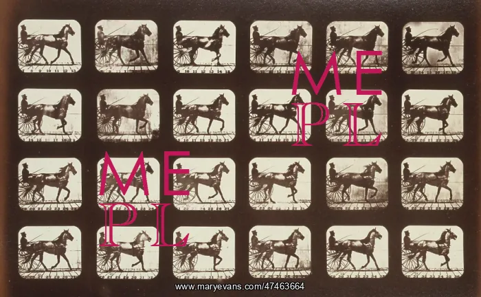 : Horses. Trotting : Horses. Trotting