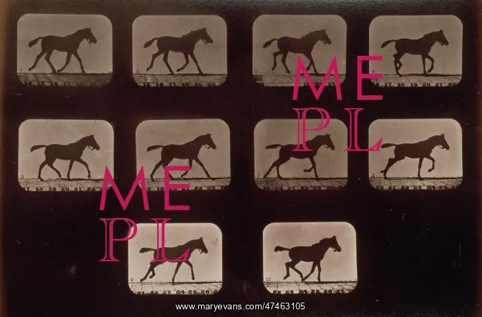 : Horses. Trotting, change to running : Horses. Trotting, change to running