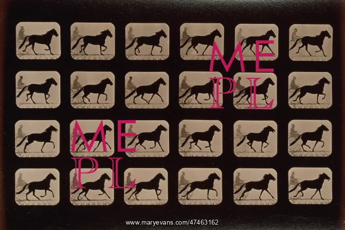 : Horses. Trotting change to running : Horses. Trotting change to running