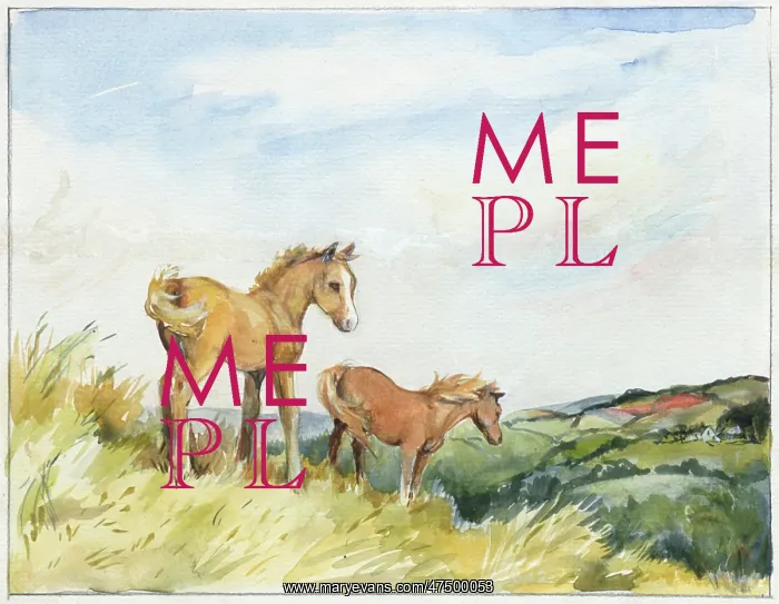  : Two horses on the uplands