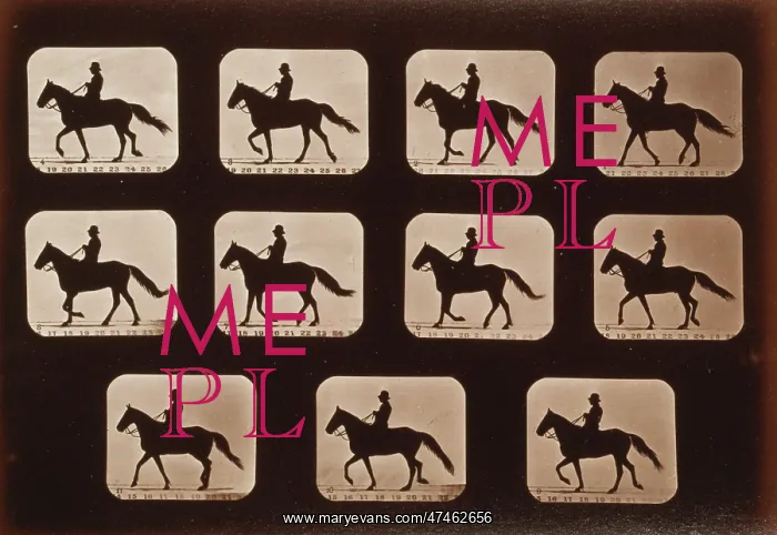 : Horses. Walking : Horses. Walking