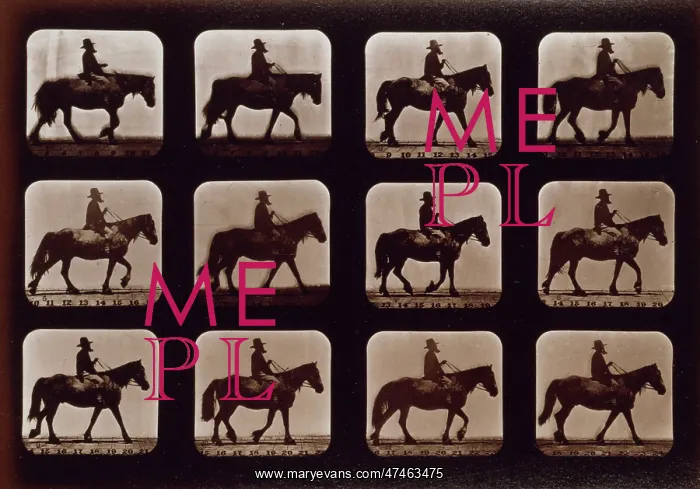 : Horses. Walking : Horses. Walking