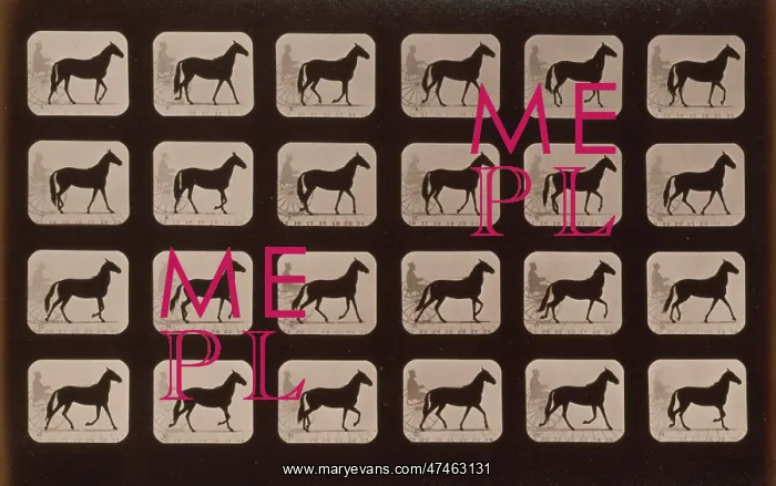 : Horses. Walking change to trotting : Horses. Walking change to trotting