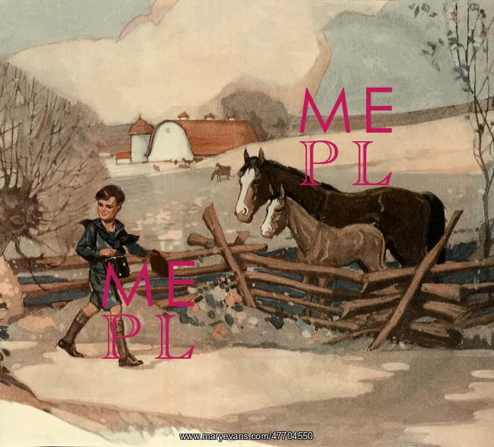  : Horses Watch Boy