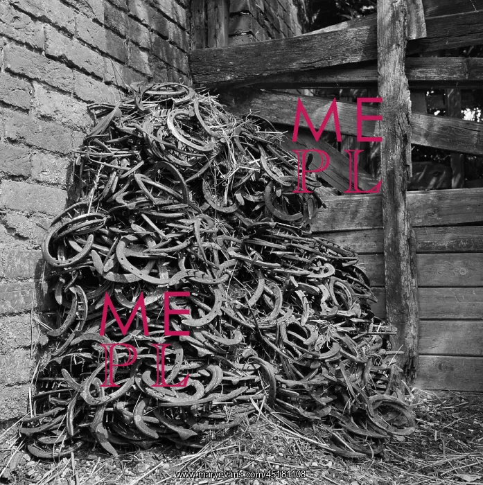 : Horseshoes : Horseshoes