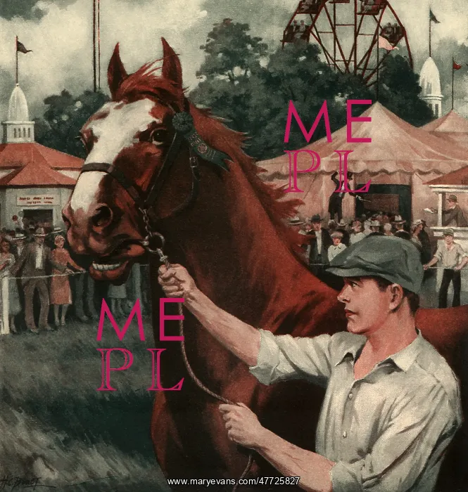  : Horseshow
