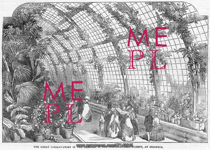 : Horticultural Society conservatory, Chiswick, London 1850 : Horticultural Society conservatory, Chiswick, London 1850