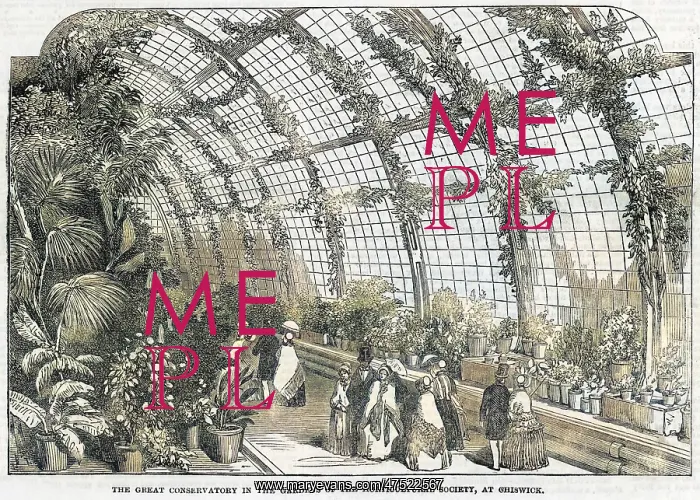 : Horticultural Society conservatory, Chiswick, London 1850 : Horticultural Society conservatory, Chiswick, London 1850