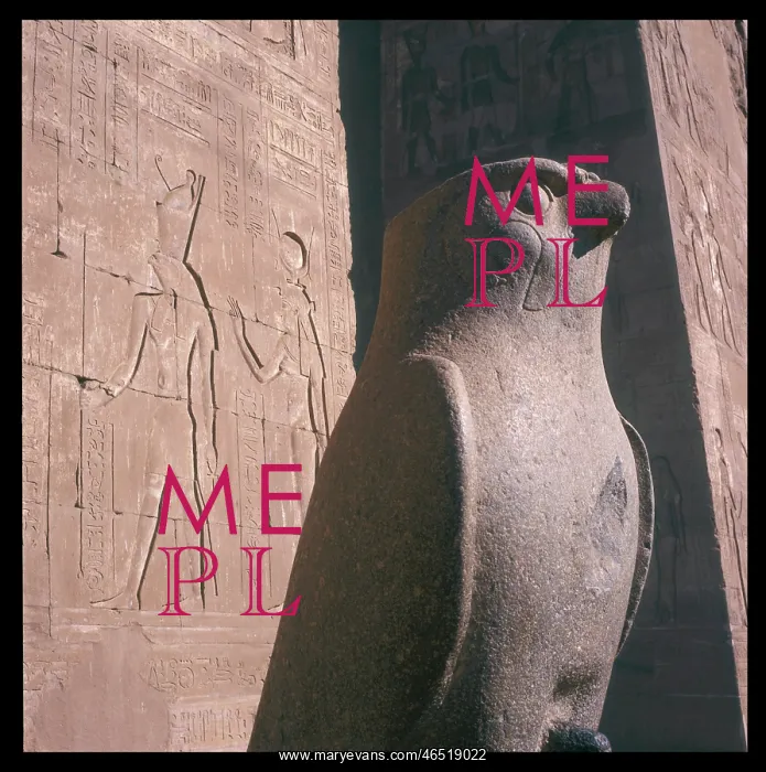 : HORUS THE FALCON GOD : HORUS THE FALCON GOD