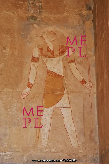 : Horus. Temple of Hatshepsut. Egypt : Horus. Temple of Hatshepsut. Egypt