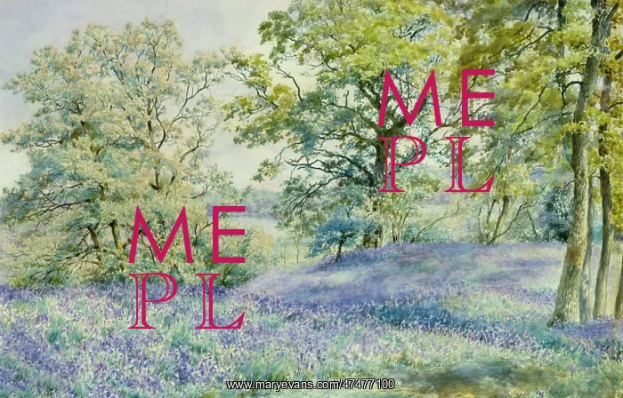 : A Host of Bluebells : A Host of Bluebells