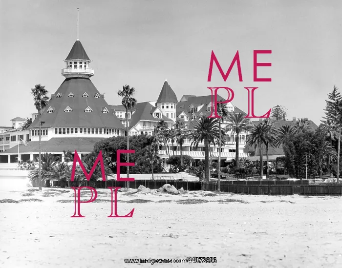 : HOTEL DEL CORONADO : HOTEL DEL CORONADO