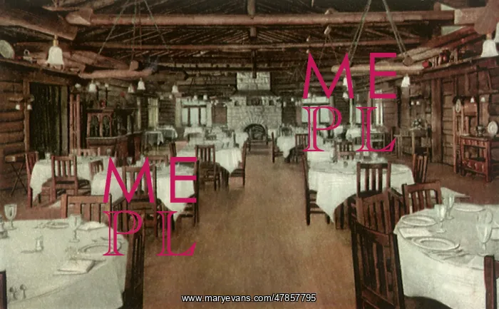 : Hotel Dining Room : Hotel Dining Room