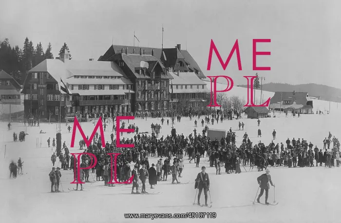 : The Hotel Feldbergerhof with many skiers : The Hotel Feldbergerhof with many skiers