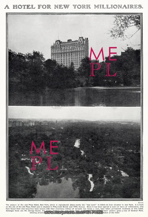 : A Hotel for New York Millionaires : A Hotel for New York Millionaires