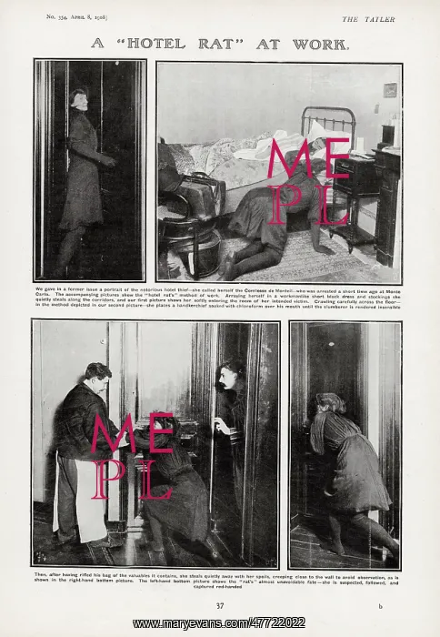 : A hotel rat at work, the Comtesse de Monteil : A hotel rat at work, the Comtesse de Monteil
