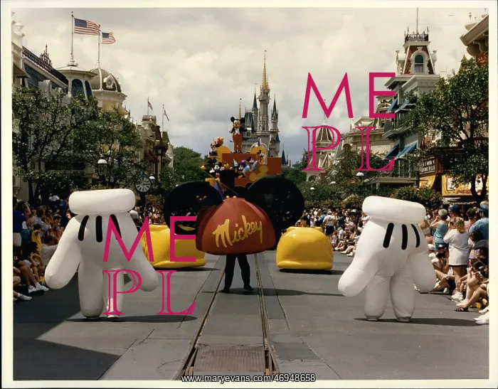 : Hotels - Resorts - Roller Coaster - Theme Parks : Hotels - Resorts - Roller Coaster - Theme Parks