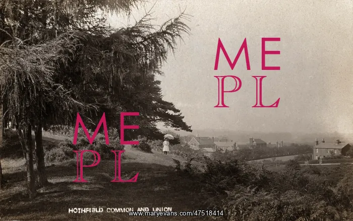: Hothfield Common and West Ashford Workhouse, Kent : Hothfield Common and West Ashford Workhouse, Kent