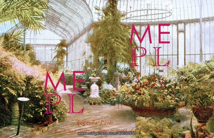  : Hothouse interior, Botanic Gardens, Regents Park, London