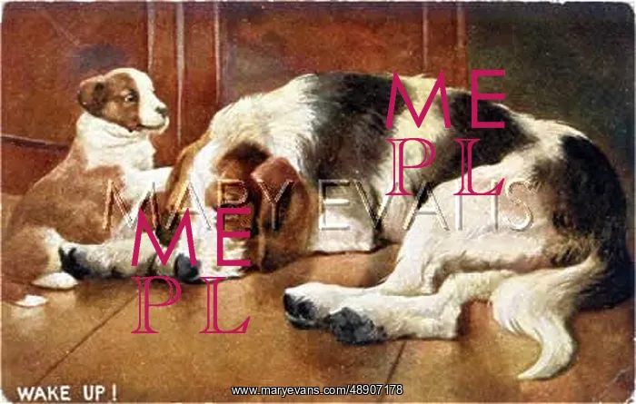  : HOUND BITCH AND PUP