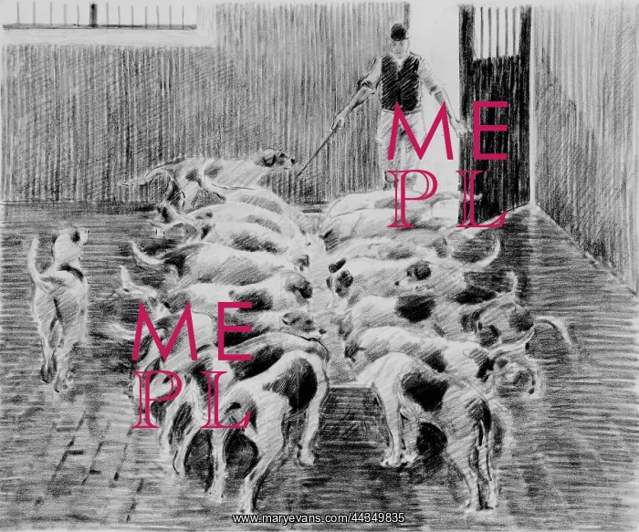  : Hounds feeding