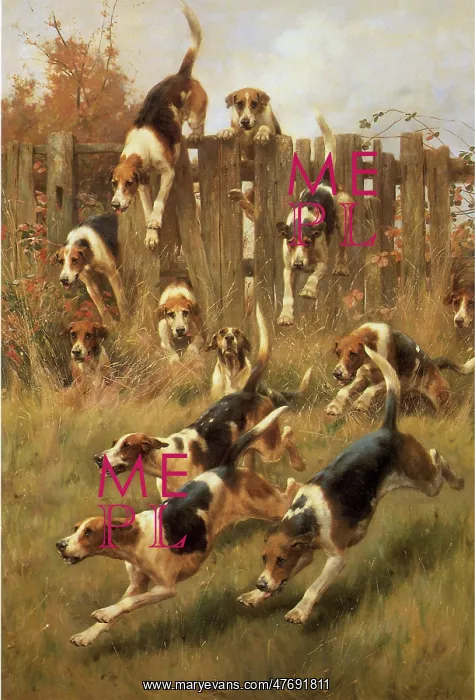  : Hounds Hunting