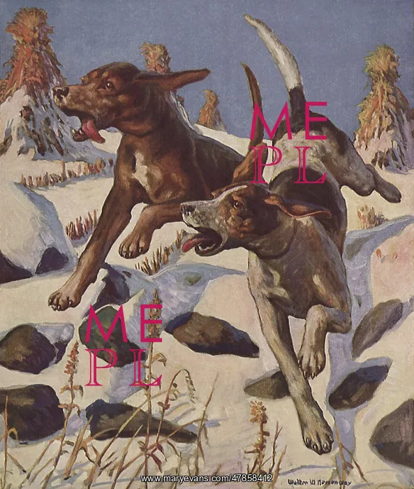  : Hounds in Winter