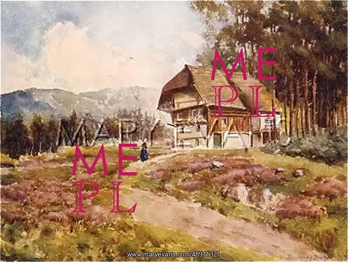 : HOUSE IN BLACK FOREST : HOUSE IN BLACK FOREST