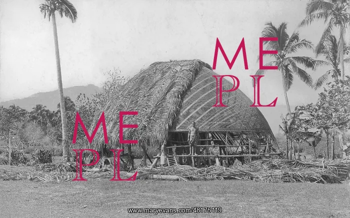 : House building in Samoa, 1903 : House building in Samoa, 1903