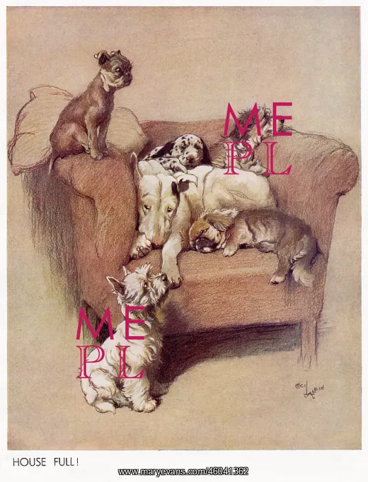 : A House Full by Cecil Aldin : A House Full by Cecil Aldin