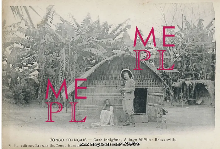  : HOUSE IN THE CONGO
