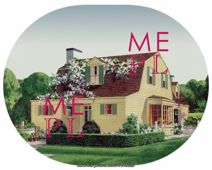  : House, Flowering Vine