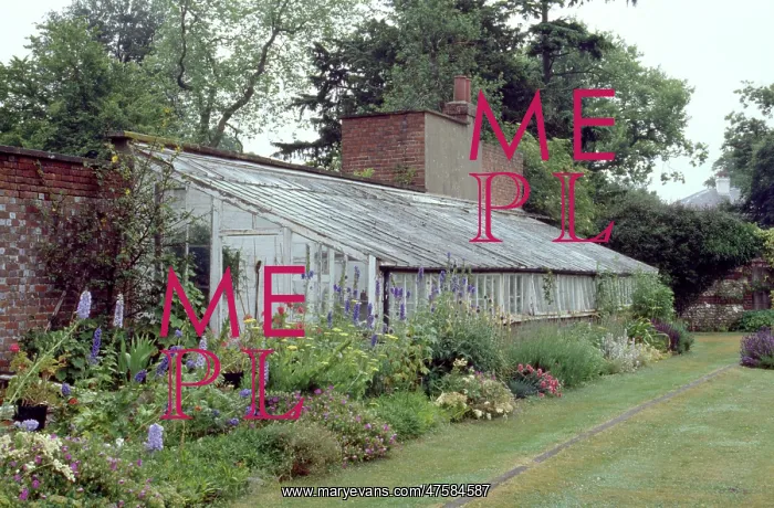 : Down House gardens : Down House gardens