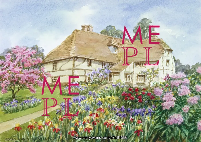 : House with Iris Beds ' garden : House with Iris Beds ' garden