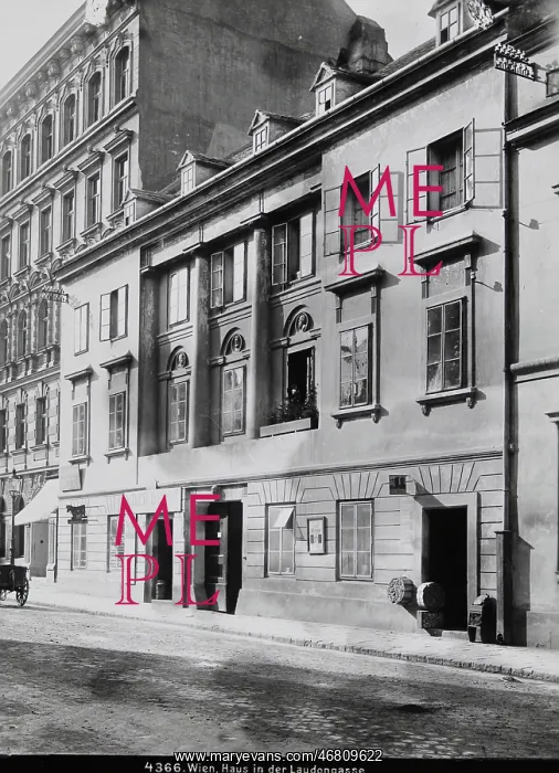 : House at Laudongasse : House at Laudongasse