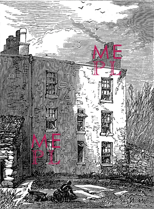 : The house in which Livingstone was born : The house in which Livingstone was born