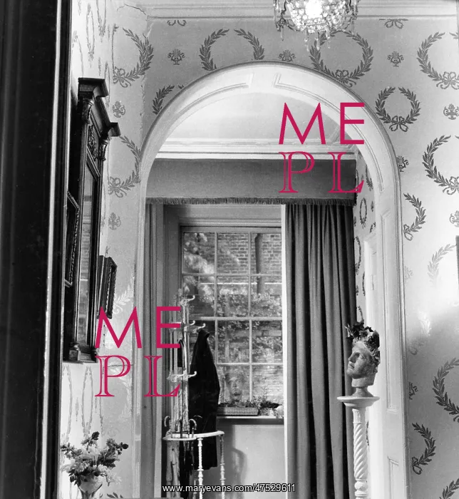 : The House of Molly Bishop - View of the Lobby : The House of Molly Bishop - View of the Lobby