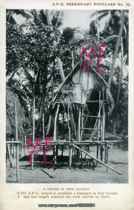 : A House in New Guinea : A House in New Guinea
