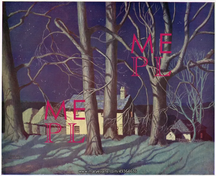: House at night in winter : House at night in winter